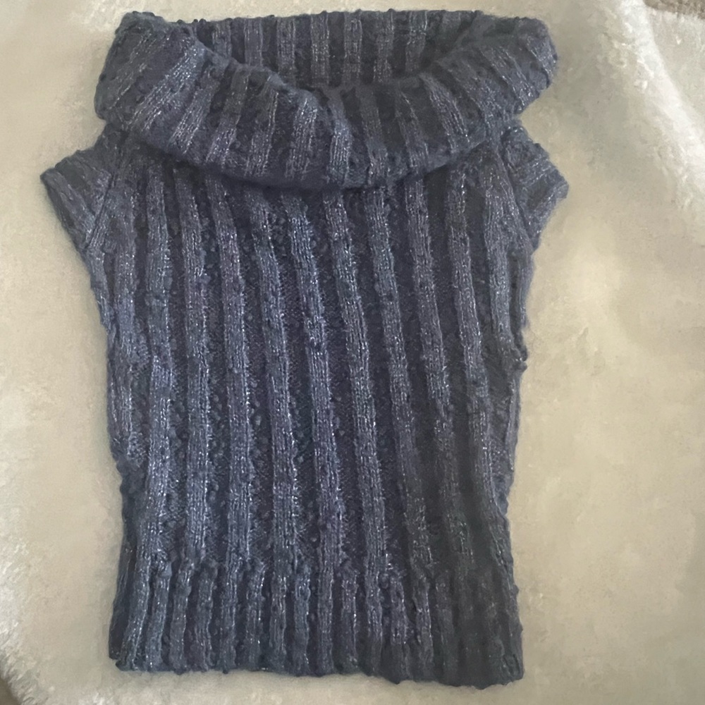 Silence + Noise Sweater Sparkly Top